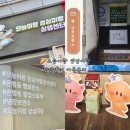 [대전]성심당 근처 빵보관소 으능이랑 성심이랑 내돈내산 이용후기|성심당 근처 빵보관소 추천