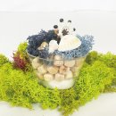 산호파츠