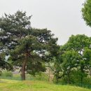 초정힐링캠핑장 이미지