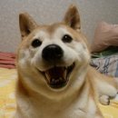 안녕하세요 이미지