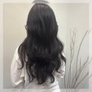 탱글탱글 | 긴머리 변신 탱글탱글 젤리펌 후기
