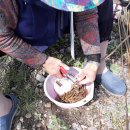 대경농장2 이미지