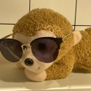 룩옵티컬 서서울호수공원점 이미지