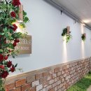 (주)파티인하우스시흥 | 시흥가족모임 탁월한 다이닝몽드시흥능곡점 방문 후기