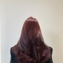 또, 헤어(ddo, hair)
