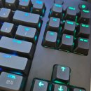 BLue PC방 | 로지텍 PRO TKL GX 블루 키보드 실사용 후기 | 게임용 기계식 키보드 추천