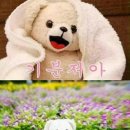 밤섬이치과의원 이미지