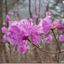 용천산업