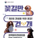 농림축산검역본부(식물검역기술개발센터) | 「🐕은퇴 검역탐지견 민간입양」 안내