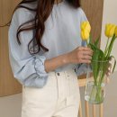 하이베이직