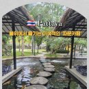 물고기카페 - 나주시 상야4길 10 | 파타야 가족여행 추천! 파분카페4 물고기 먹이주기 체험 후기