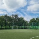 현 태권도장 이미지