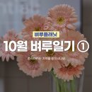 새올공원(기적의도서관 옆) | 10월 벼루일기 ① | 추석연휴 일기, 개봉 영화 추천, 상그리아와 애플파이 만든 후기