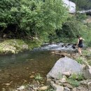 딱따구리펜션 이미지