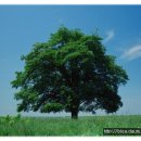 창안과의원 이미지