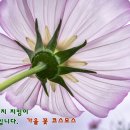 신당초등학교 이미지
