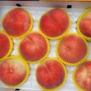 화영농장 이미지