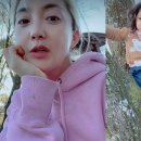 나무늘보,요정 이미지