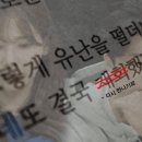 박초코 이미지