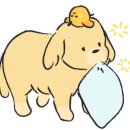 오누(ONU) 이미지