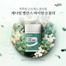 바이탈포뮬라