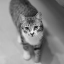 동행헤어 이미지