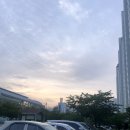 영도태종정화 노동조합 | 2023년 5월 넷째주