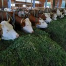 기후미식 이미지