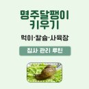 명주달팽이 키우기 방법 | 먹이·칼슘·사육장 관리 총정리