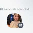 비바 인셀덤