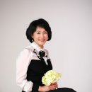 순정치과의원 Daum카페
