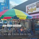 하얀등대이모야