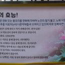 엄상궁연잎밥과묵은지찜