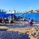 속초 김약국 이미지