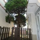 아크로펜션 이미지