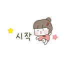 고양이무마취미용 냥지곤지 이미지