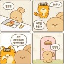 히얼퍼피 | 일상블로그 ; 2026년 1월 첫 일상