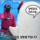 동백갈매기