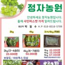 쌍정2리 이미지