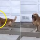 살랑살랑 이미지