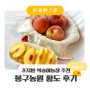 예향농원 제2농장 | 세종 조치원 복숭아 농장 맛집 추천 '봉구농원' | 황도복숭아 맛보고 놀란 4년째 단골 후기