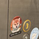 시바(SHIBA) | (도쿄🇯🇵) 하라주쿠 마메 시바 카페 | 시바 카페 후기🐕