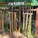 황방산 맨발걷기 이미지