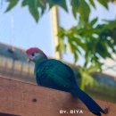 오리와생태의만남 | 제주 애월 아이와 가볼만한곳 3월 제주도 여행 코스