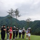 기브코리아 이미지