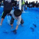 소담초등학교 이미지