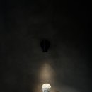 오크커피