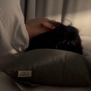 안성컴퓨터세탁 | 집앤콕 경추베개 사용후기 거북목 일자목 목주름방지 추천드려요