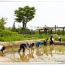 보리타작 이미지