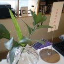 서대문 연세로7안길 이미지